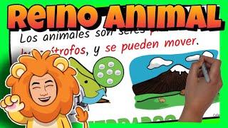  El REINO ANIMAL para NIÑOS de PRIMARIA | VERTEBRADOS e INVERTEBRADOS