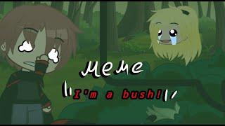 Meme"I am a bush!"/Acatsuki/Zetcu,Sasori,Deidara