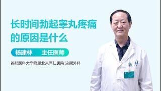 长时间勃起睾丸疼痛的原因是什么 有来医生