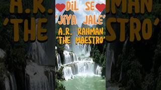 Jiya Jale, Dil Se| A.R Rahman the Maestro! #prachisydney
