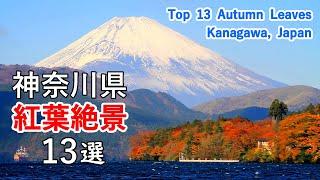 Top 13 best autumn leaves in Kanagawa, Japan / Hakone, Mt. Fuji, Lake Tanzawa, Lake Sagami, etc.