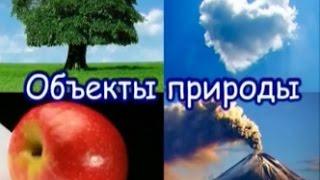 ЖИВАЯ И НЕЖИВАЯ ПРИРОДА - объекты и явления, познавательное для детей