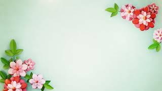 Flower Background Video | Free Stock Footage