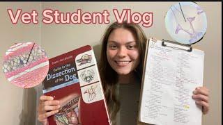 Vet school vlog // 1st year vet student (Monday)