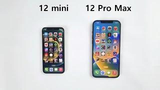 iPhone 12 mini vs iPhone 12 Pro Max - 2024 Speed Test!