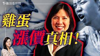 她被解僱了! 美國雞蛋漲價真相！｜薇羽看世間 20250208