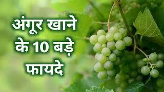 अंगूर खाने के 10 बड़े फायदे, Top 10 Benefits Of Eating Grapes