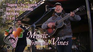 Dan Lebo Lebowitz & Nat Keefe - Sugaree  Try  Sugaree - MFTV 11/8/20 Little Vineyards