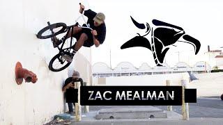 ZAC MEALMAN | ANIMAL BIKES - 'LET EM HAVE IT' X DIG BMX