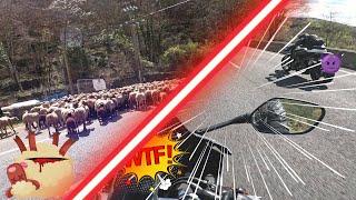 Des moutons, une pendaison, des courses... Direction le Mont Aigoual quoi ( épisode 1 ) #Vlog2