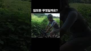 투어라이딩의 꽃은 고즈넉한 임도가 아닐까요? #cycling