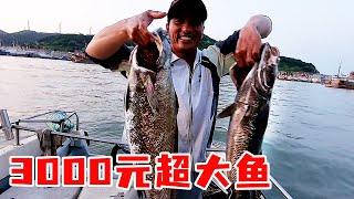 Ajie's got a lot of luck today! One thousand yuan of fish fishing is two  the pull is so great that