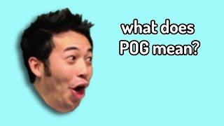 What Does POG Mean? | Answering Reddit Questions