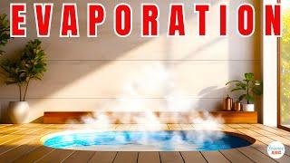 Why Does Water Evaporate at Room Temperature?