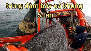 ngư dân quá mừng khi vô đục cá Đù 5 tấn làm tới trời tối|Nhiên xứ Biển