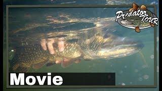  EUROPEAN PREDATOR FISHING COMPETITION  (Fish & Fang) | PredatorTour 2018 | Pike Zander fishing