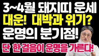 3월~4월 돼지띠운세 돈줄 폭발? 잡으면 대박놓치면 평생 후회! 단 한 걸음이  가른다!