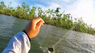 LAMBAT FISHING | LAMBAT FISHING PART 1