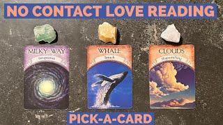 ️‍🩹No Contact Love Reading️Pick-A-Card Love Reading️