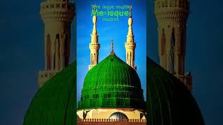 [mere dil tadap raha hai mujhe le chalo madina]#islamicvideo #shortshorts