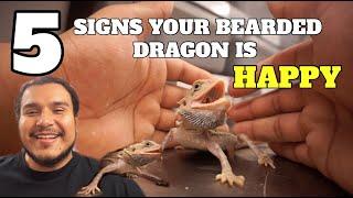 5 Signs Your Bearded Dragon Is Happy !! **Must Watch If You Own One**