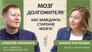 Мозг долгожителя. Как замедлить старение мозга?
