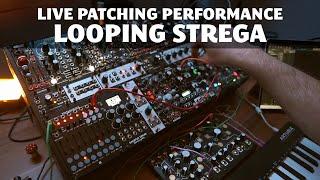 Live Patching Performance Looping with Strega || Mimeophon | Morphagene | Arbhar | Lubadh