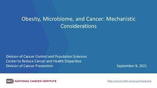 Obesity, Microbiome, and Cancer: Mechanistic Considerations