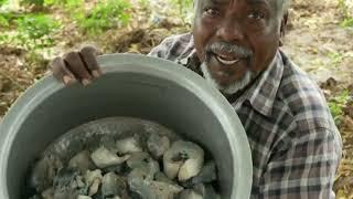 FISH BIRYANI RECIPE !!