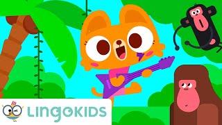 ️ IT'S RAINING IT'S POURING ️ Learn About the Rainforest | Lingokids