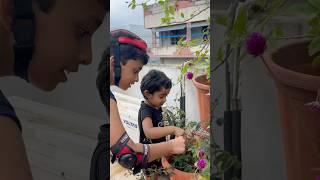 Bro&sis playing with touch me not plant #nature  #naturebeauty #plants #funtime #shorts #ytshorts