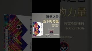 掌握《当下的力量》：提升生活质量的实用指南，找到内在平静与喜悦的秘诀