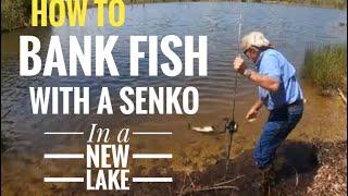 How to Bank fish with a Senko on a new lake