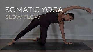 Somatic Yoga: Embodied Movement to Increase Body Awareness