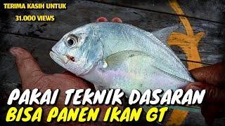 MANCING IKAN GT TEKNIK DASARAN @MNHAnglerFish