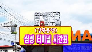 삼성터미널 시간표 감축운행 시외버스 삼성정류소 정류장 노선