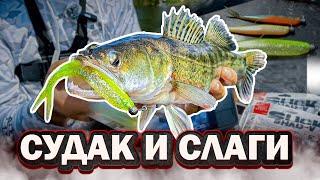 Судак на СЛАГИ в небольшой реке | Lucky John Slick shad V