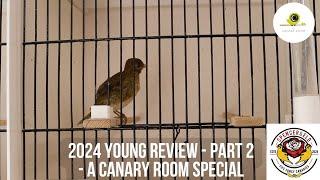 The Canary Room Season 7 Episode 12 - Reviewing the young birds bred in 2024 part 2