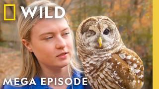 Secrets of the Zoo: North Carolina | MEGA EPISODE | Nat Geo Animals