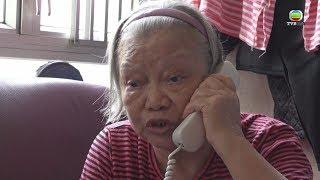 阿婆玩殘管理處 一日打843次電話被控「不斷打電話罪」