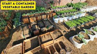 How To Start A Container Vegetable Garden? 4 Important Steps To Start A Container Vegetable Garden