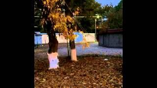 Jasur Badalbaev - Floating