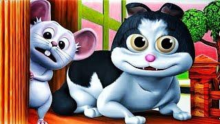 Meow Meow Billi Karti|Meow Meow Song|म्याऊँ म्याऊँ|म्याऊं म्याऊंI Meon Meon poem@Pari kids Part-6089