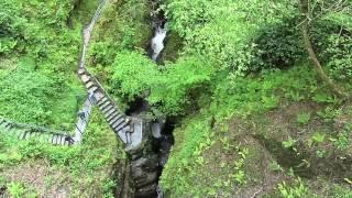 Vale of Rheidol Railway