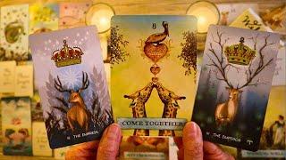 THEY’RE CHOOSING YOU!! DON'T MISS!!  LOVE TAROT READING ️ SOULMATE