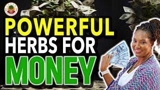 HOW TO USE 4 POWERFUL MONEY HERBS | Yeyeo Botanica