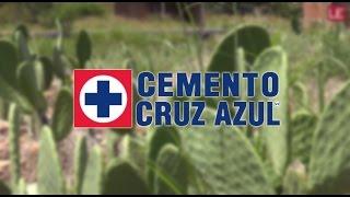 La Entrevista - Cooperativa Cruz Azul: Energía a través del nopal