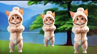 Cat videos funny dance Videos for catsv#funnycats #dancingcat #catlovers  @furry-cornerz