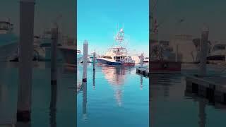 Rate these docking skills! Boat is a 64 foot Weaver sportfish @reelin_feelin_sportfishing