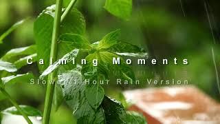 1 HOUR Relaxing Music with Rain - "Calming Moments Slower Version" ⏺ Sleep Music, Meditation, Spa